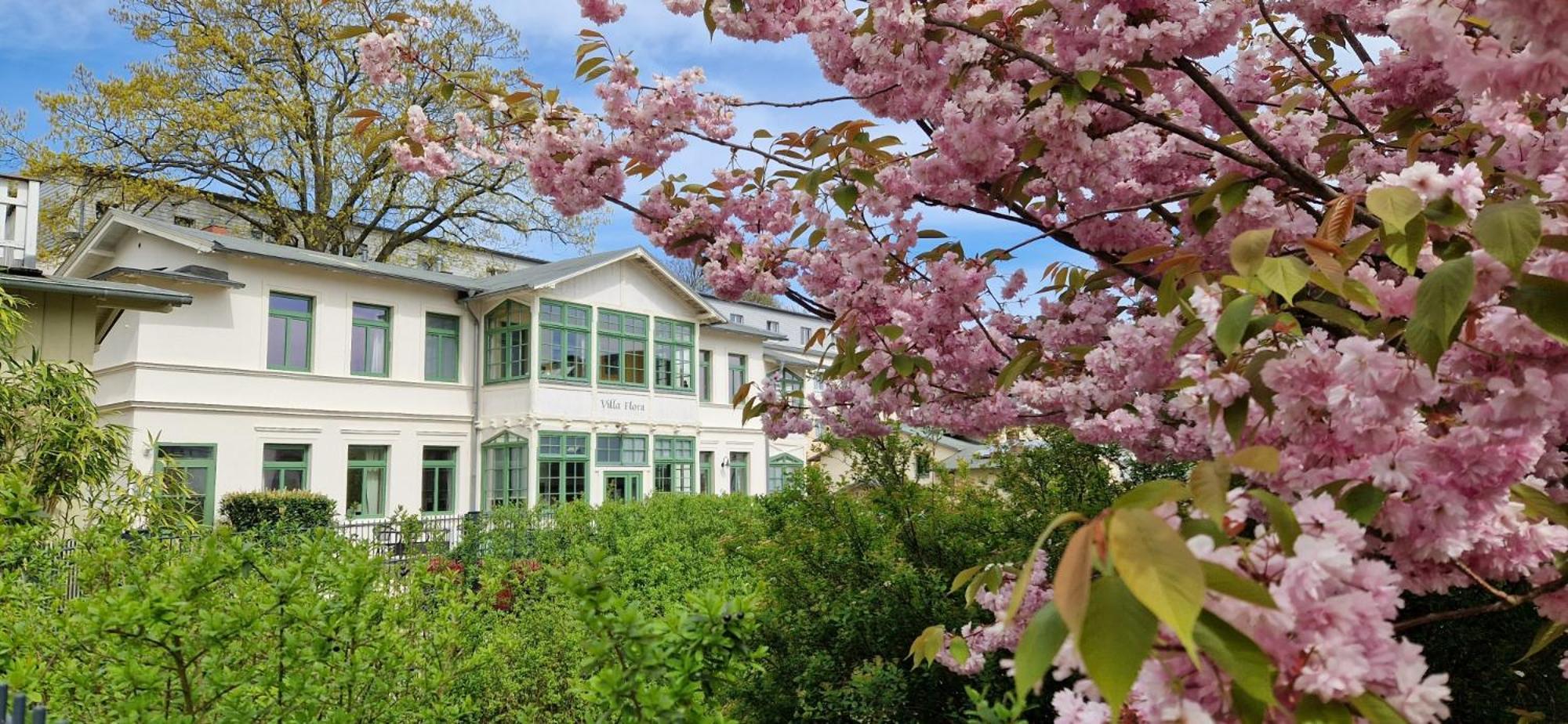 Villa Flora Heringsdorf  Buitenkant foto